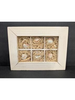 Unique Nautical Beach Temed Seashell Shadow Box Wall Art.